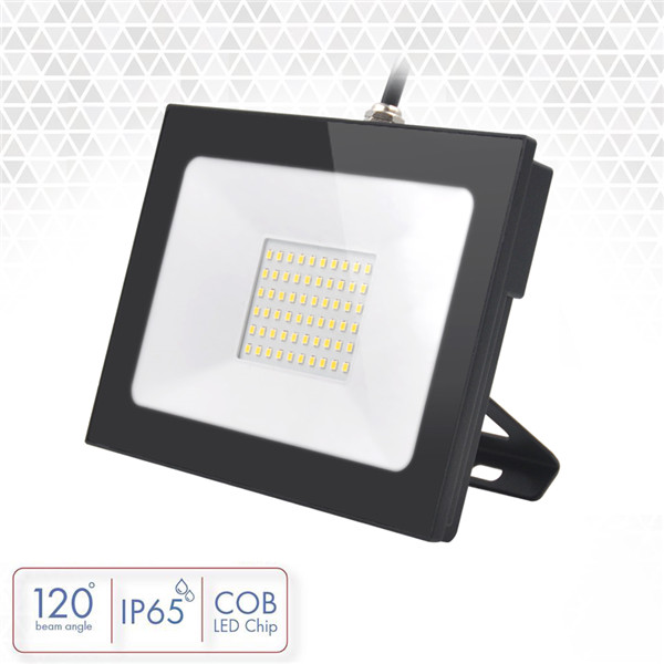 LED Flood Light