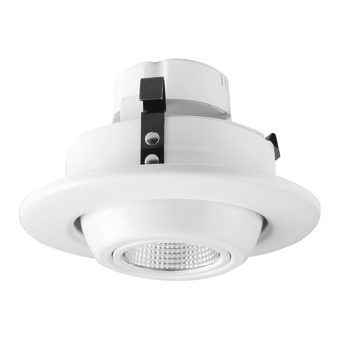 LED Eyeball downlight Retrofits