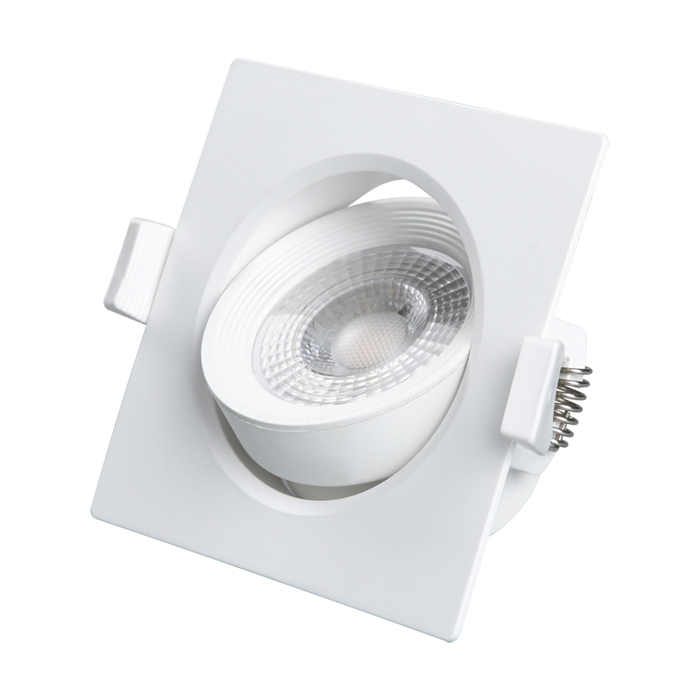 LED Rotatable Down Light