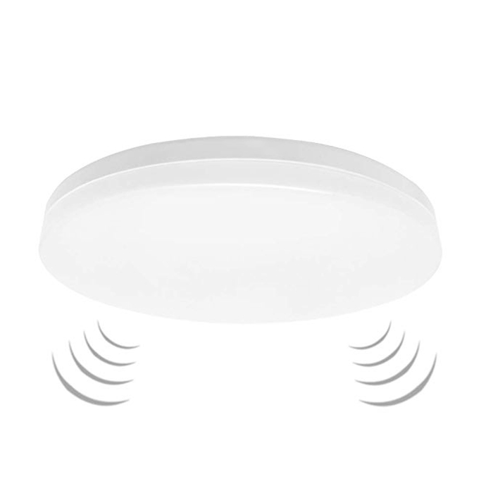 LED Motion Sensor Ceiling Light