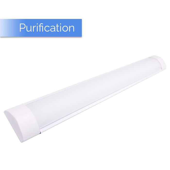 LED Purification Lamps